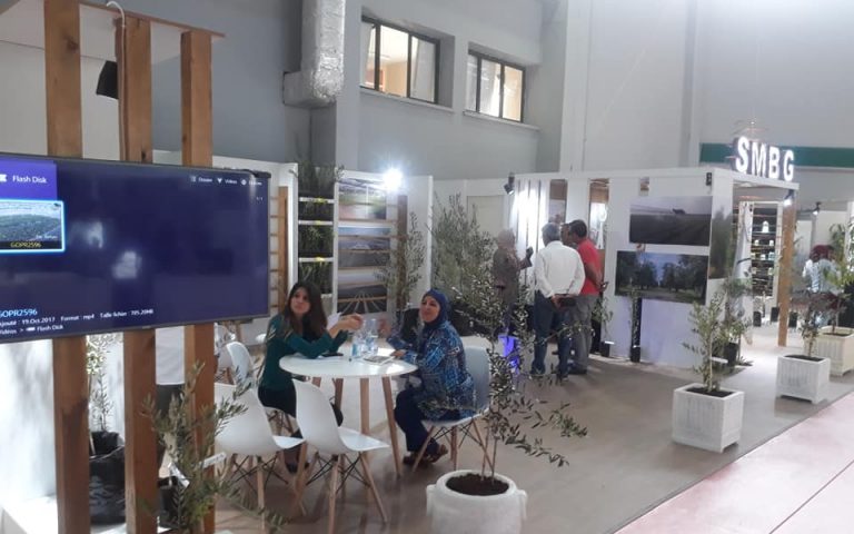 سيات 2018