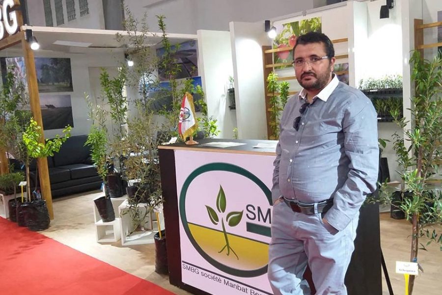 SMBG