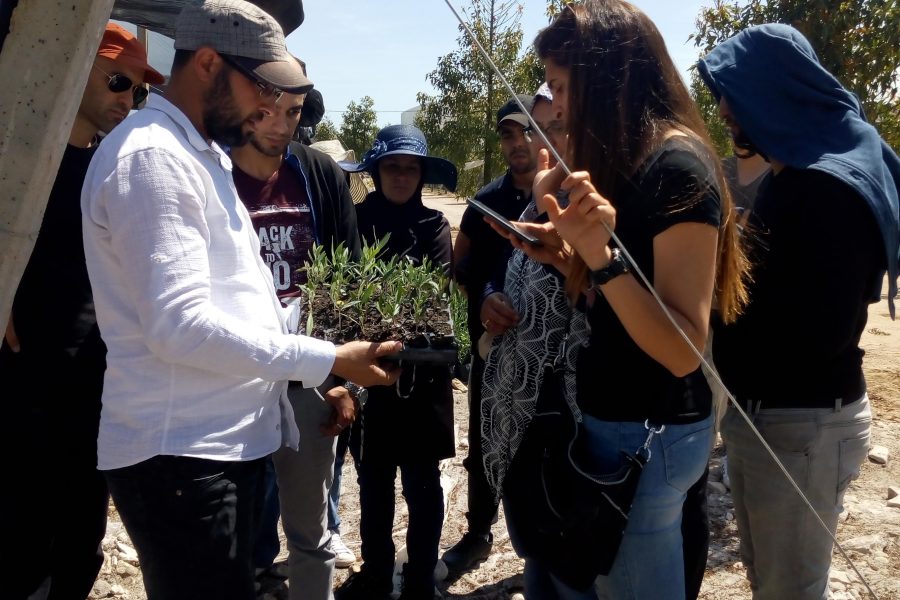 Pépinière SMBG Tunisie