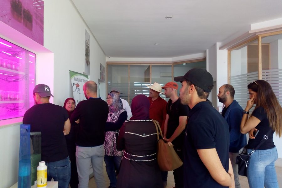 Pépinière SMBG Tunisie