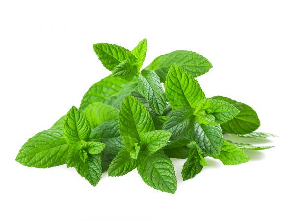 menthe