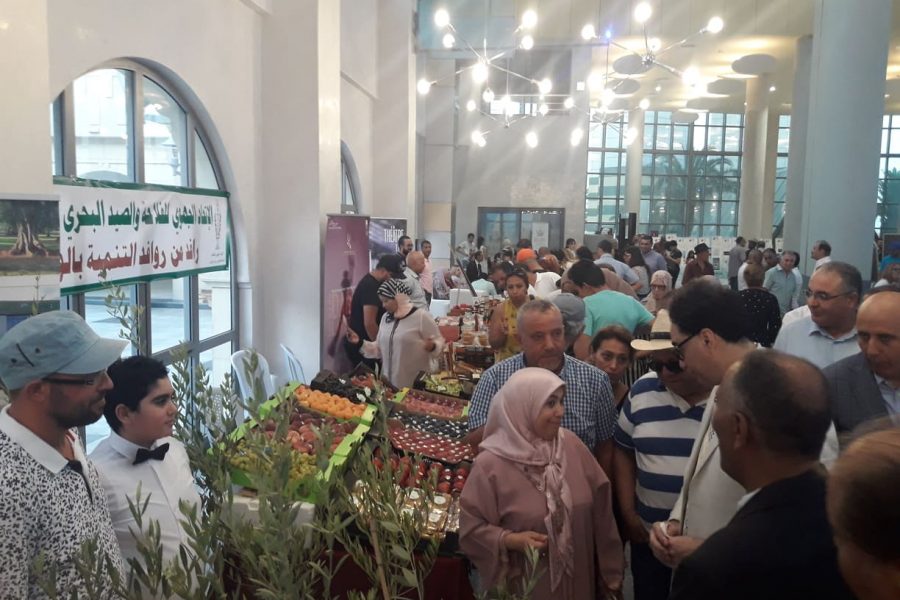 Journée de la Région de Ben Arous à Cité de la Culture de Tunis