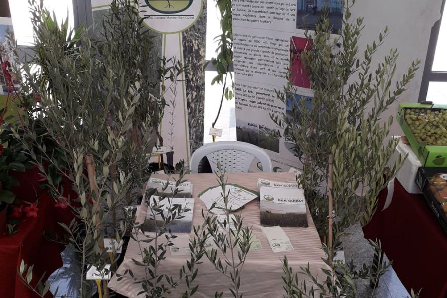 Journée de la Région de Ben Arous à Cité de la Culture de Tunis