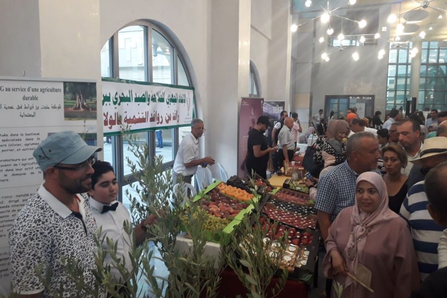 Journée de la Région de Ben Arous à Cité de la Culture de Tunis
