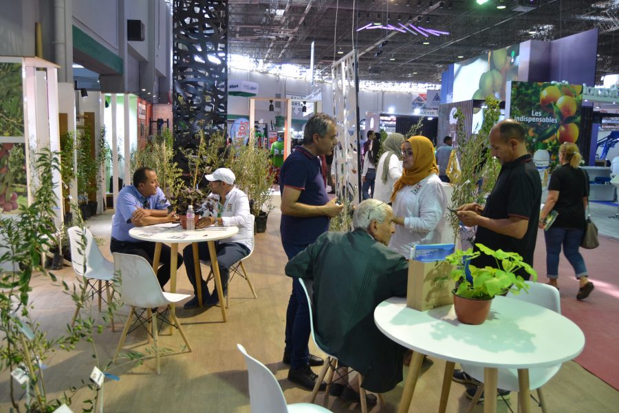 SIAMAP 2019