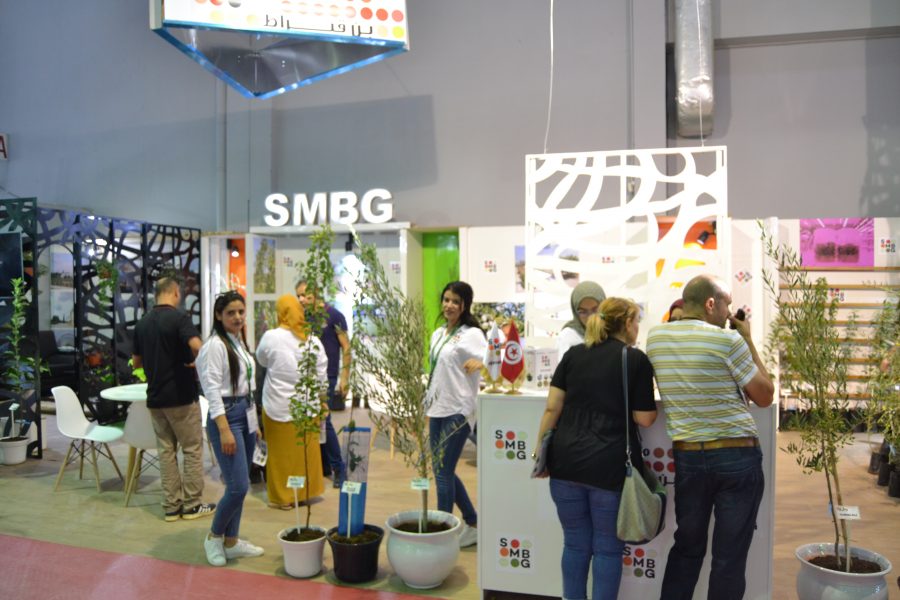 SIAMAP 2019