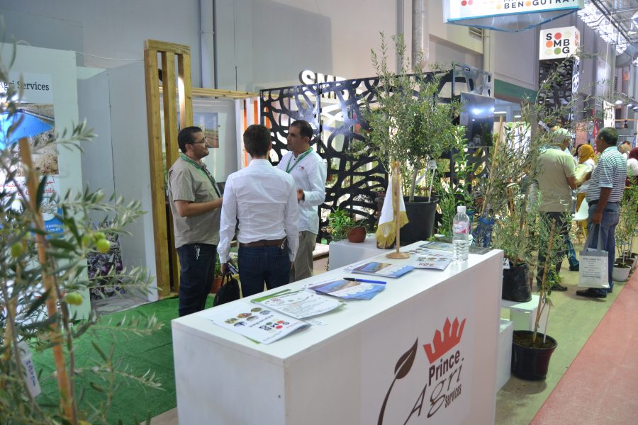 SIAMAP 2019