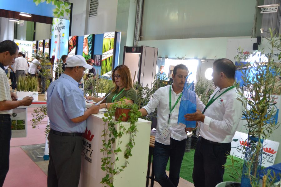 SIAMAP 2019