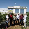 Échantillonnage de l'olivier Leccino pour la Certification