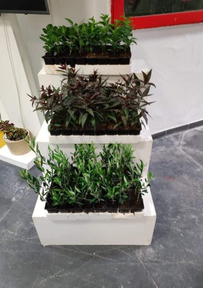 Ouverture du 13ème Salon Méditerranéen de l'Agriculture et des Industries Alimentaires à Sfax