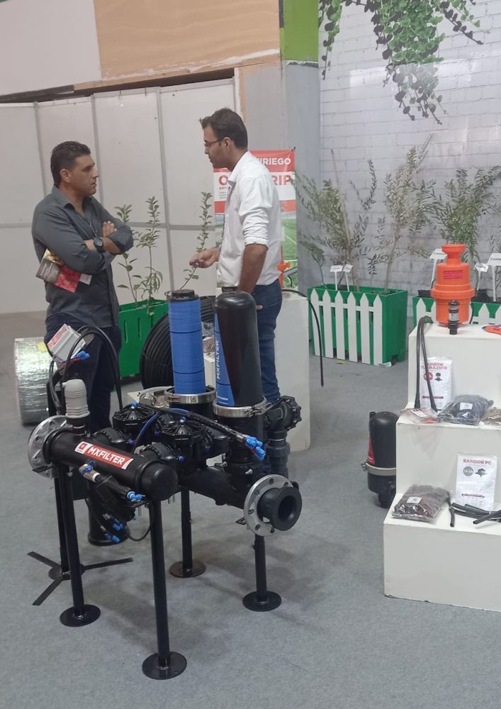 Salon d'olive